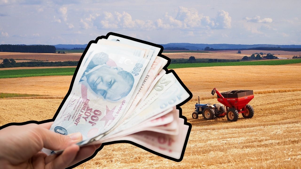 Çiftçilere Tarım Bakanlığı 8 Farklı Tarımsal Destek Ödemesi Verdi