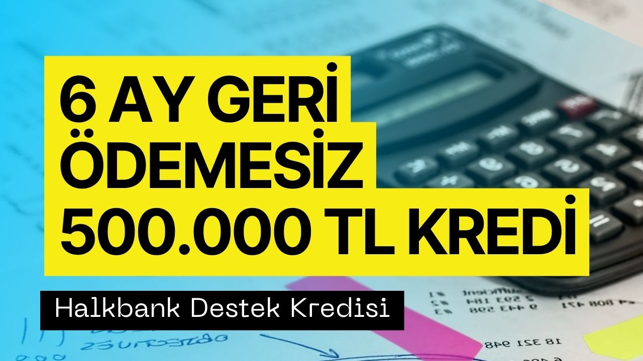 Halkbank 6 Ay Geri Ödemesiz Kredinin Kimlere Verileceğini Açıkladı! 500 Bin TL 60 Ay Vadeyle Geri Ödenecek