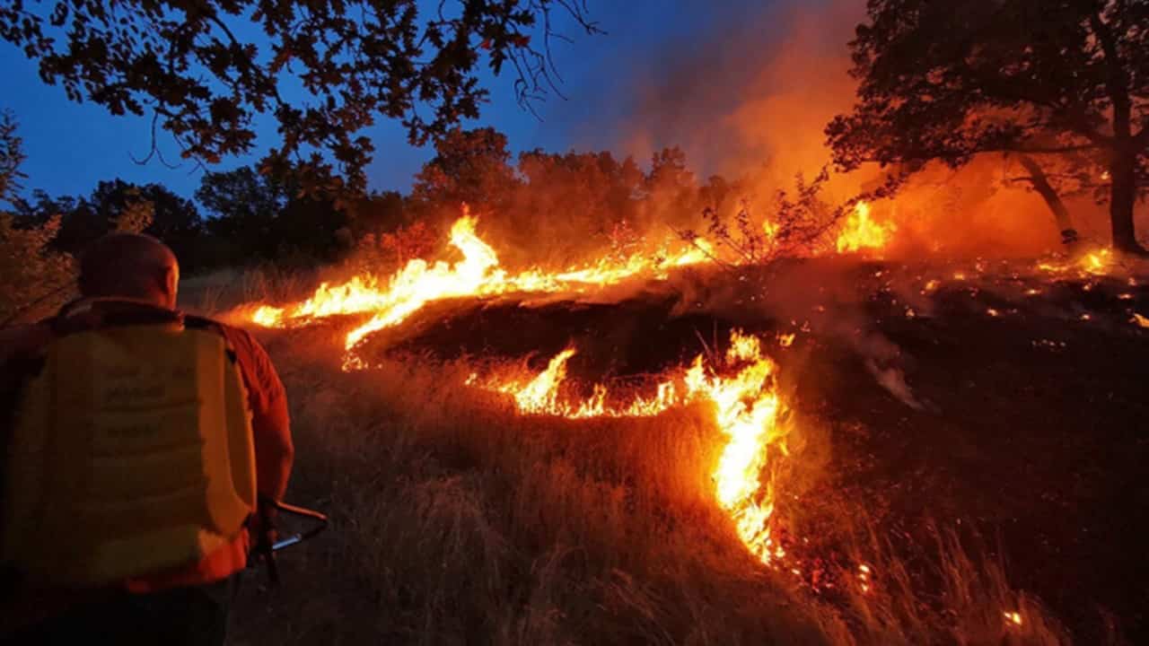 Bulgaristan-Türkiye Sınırındaki Yangın Nedeniyle Köyler Tahliye Ediliyor